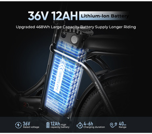 Reino Unido, Envío Gratis, bicicleta plegable eléctrica con batería de litio de acero, motor de cubo trasero, freno de disco y posición de portador trasero - Product Image 3