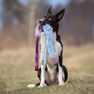 Juguete de Peluche para Perro, Ecológico, de Pelo Sintético, Interactivo, para Jugar al Aire Libre, de Alta Calidad, para Masticar - Product Image 3