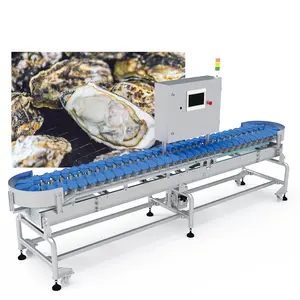 High Accuracy Live Fish Grader Sorter Oysters Crabs Frozen Fish Online Dynamic Weight Sorting Grading Machine