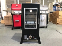 Barbecue Grill au gaz noir, 1 pièce, Design professionnel, pour bbq