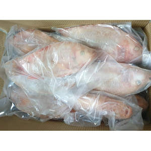 ปลานิลสีแดงพรีเมี่ยมปลานิลอินทรีย์ทั้งชิ้นใหญ่จากประเทศจีน - Product Image 2