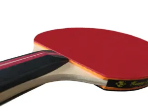 Professionele Ittf Goedgekeurd 2/3/4/5/6/7 Star Tafeltennis Racket Aangepaste Ping Pong Vleermuizen 2-4 Spelers Tafeltennis Set