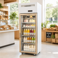 Réfrigérateur commercial vertical à porte vitrée simple pour boissons, avec refroidissement par ventilateur et éclairage LED, idéal pour café, salon de thé, pub