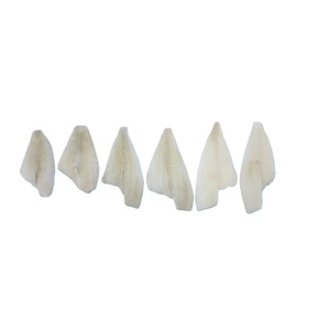 Filetti di YFS (Limanda aspera) congelati, confezionati IQF per distributori all'ingrosso e catene di ristoranti, direttamente dal produttore. - Product Image 6