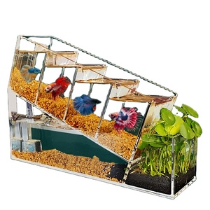 Vente directe d'usine betta aquarium isolation acrylique petit aquarium pompe à eau sans eau filtre betta aquarium - Product Image 1