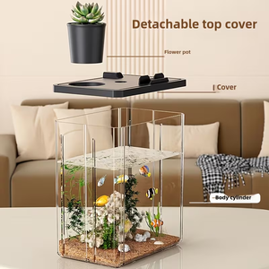 Desktop <span class=keywords><strong>Aquarium</strong></span> Kit, Vierkante Acryl Viskom met Plantenhouder, Mini Eco Tank, Niet-opgeladen tafelblad Aquascaping Set - Product Image 2