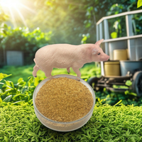 Aliment à base de gluten de maïs 18% CGF, additif protéiné pour l'alimentation animale