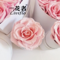 Roses longue durée, 1 pièce, pour un cadeau de fête des mères, Roses conservées, dans un coffret, pour la fête des mères, nouvelle collection 2022