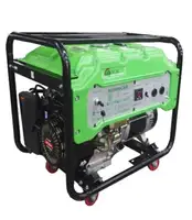 Automatic Small Biogas Engine