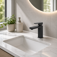 Robinet Mitigeur de Lavabo en Acier Inoxydable SUS304 Sans Plomb, Noir Mat, Monocommande, Prix Usine, Vente en Gros