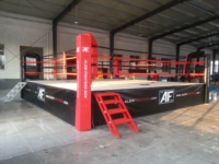 Formation professionnelle anneaux de lutte compétition taille personnalisée anneau de boxe à vendre en gros