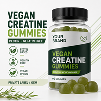 Gummies de créatine végétaliennes pour adultes, supplément nutritionnel sportif à la pectine OEM pour l'énergie et le soutien immunitaire