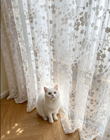 Voilages brodés transparents pour fenêtres et rideaux, doux, romantiques et voilés, pour salon et chambre à coucher, décoration intérieure