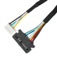 كابل LVDS موصل HSG PHSD 30P A2545-2*10P LHE 5264-5U بعزل PET، تصنيع حسب الطلب (OEM/ODM) لتطبيقات الكمبيوتر، مجدول ومطلي بالفضة