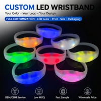 Bracelets LED Lumineux Activés par le Son – Idéaux pour Fêtes, Mariages, Raves, Concerts, Camping, Événements Sportifs – Alimentation par Piles