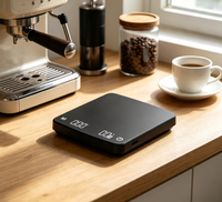 Balance de cuisine électronique portable Sifei Mini en acier inoxydable avec écran LCD, design antidérapant et diffusion audio pour café