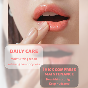 Organischer Natürlicher Kräuter-Mini-Vegan-Lippenbalsam Private Label Sanft Tiefenwirksam Feuchtigkeitsspendend Langanhaltend Glättend Wasserfest Nährend für die Lippen - Product Image 4