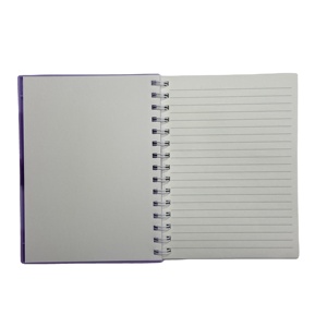 Bán buôn A5 xoắn ốc Silicone bong bóng căng thẳng cứu trợ máy tính xách tay với bút Kawaii Quỷ kuromi - Product Image 3