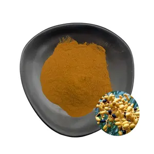 Date Palm Extract Phoenix Dactylifera Extract Phoenix Dactylifera Powder 101