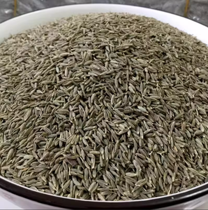 Nuovi Semi di Finocchio Essiccati di Alta Qualità dalla Cina per Cucina Cinese, Condimenti e Vendita all'Ingrosso - Product Image 2