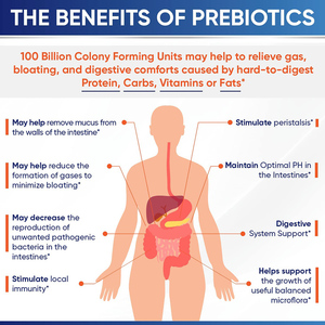 Wholesale Vegan Women Supplement Adult <strong>Raw</strong> <strong>Probiotic</strong> 100 Billion Cfu With Prebiotics Capsules - Product Image 5