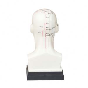 رئيس الوخز بالإبر نموذج 22 سنتيمتر رأس بشري الطب الصيني التدريس نقطة الوخز بالإبر نموذج - Product Image 4