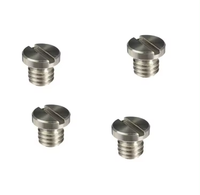 Vis sans fil personnalisées pour caméra, plaque supérieure en acier inoxydable, surface blanchie, marque FAST, fixations GB878, longueur 5-50mm, diamètre 2-10mm