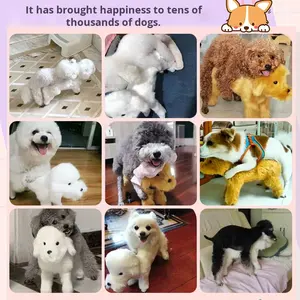 Bichon Teddy Dog in Silicone giocattolo eco-friendly cane maschio cane cane maschio accoppiamento cucciolo auto-intrattenimento di rilascio del fuoco per alleviare - Product Image 6