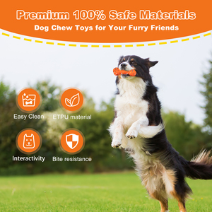 Üretici OEM çevre dostu ETPU oyuncak köpek kemik dayanıklı yıkılmaz köpek oyuncak agresif Chewer için interaktif Pet güvenli oyuncak - Product Image 5