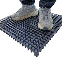 Tapis filtrant d'eau en gazon artificiel LeJing, panneau de drainage en PEHD pour aménagement paysager, plateau de plantation, grille de gazon en plastique pour jardin de toit