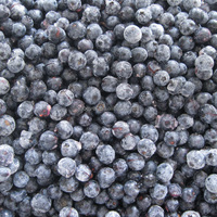 IQF Diepvries Blauwe Bessen Hele Stuks Fabrikant Bulk Diepvries Blauwe Bessen BRC HACCP Gecertificeerd Diepvries Bessen voor Bakkerij Smoothies Yoghurt