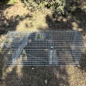 Piège automatique pour chats vivants, répulsif pour animaux, cage à chiens pliable multi-captures - Product Image 6