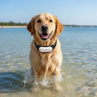 Mini Collar para Mascotas Pequeñas, Precio Económico, Rastreador GPS para Perros, Localizador, Collar Rastreador GPS para Mascotas, Rastreo en Tiempo Real