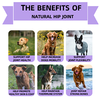 Friandises à mâcher pour chiens pour le soutien des articulations avec Glucosamine et MSM - Complément naturel au chanvre pour les hanches et les articulations, pour toutes les races - Fournisseur en gros