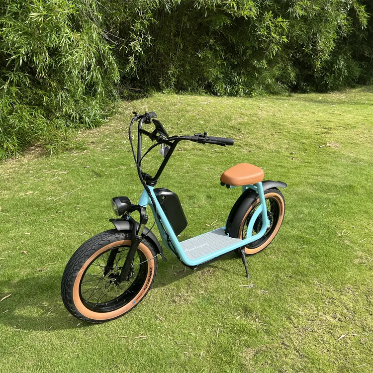 2023 yeni 48V yetişkin Citycoco elektrikli motosiklet çin'de yapılan 1000W Eu çıkarılabilir pil Scooter bisiklet ab depo stok