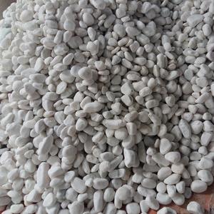 Galets naturels de couleur blanche, 100g, pierres, graveuses pour aménagement paysager paysager, pavé - Product Image 1
