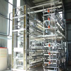 อุปกรณ์สำหรับสัตว์ปีกในเชิงพาณิชย์สายการวิ่งที่ราบรื่นประเภท H ของการวางไก่สุ่มในการขาย - Product Image 2