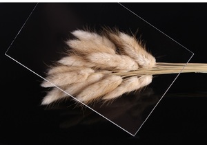 Tùy Chỉnh 10Mm Trong Suốt Pmma Acrylic Cast Tấm Đúc Pmma Acrylic Tấm Trong Suốt Trắng - Product Image 5