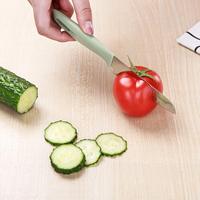 Multifunctionele Keukengadget Roestvrijstalen Fruit-En Groentemes Met Plastic Handvat Fabrieksprijs Pp-Gereedschappen