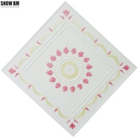 Paneles de yeso decorativos, diseños de techo falso para dormitorio, 60x60cm