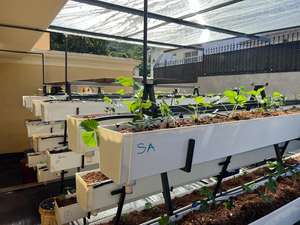 Bac de culture en plastique pour la culture hors-sol de fraises - Product Image 6