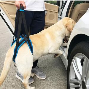 <span class=keywords><strong>Harness</strong></span> pengangkat anjing yang dapat diatur untuk kaki punggung tali penopang hewan peliharaan kaki lemah berdiri hewan peliharaan alat bantuan anjing untuk anjing tua - Product Image 1