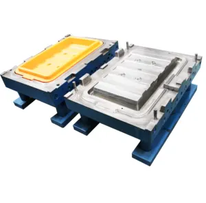 Cooler Box Mould New Trending Plastic Ice Chest Cooler Box Blow Mould