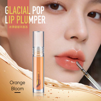 Lipgloss Mineral Glossy Tahan Lama Label Pribadi Grosir, Pigmentasi Tinggi, Tahan Air, Melembapkan, Vegan, Logo Custom