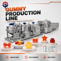 Productielijn voor jelly fruit gummy snoep met PLC-besturing, apparatuur voor het maken van zacht snoep, mal kan worden aangepast