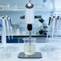 Agitateur Mélangeur de Laboratoire Numérique en Gros SUS304 à Moteur DC, Boîte de Vitesses, Écran LCD, Capacité 20-60L pour Traitement Chimique