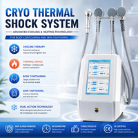 Appareil de Cryothérapie Professionnel avec Globes de Glace et Analyseur Intelligent de Peau pour le Remodelage Corporel et les Soins SPA