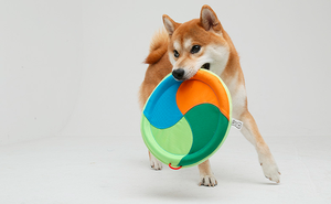 Toptan eko dostu lüks akıllı interaktif <span class=keywords><strong>pet</strong></span> köpek eğitimi uçan disk frisbeed oyuncaklar - Product Image 5