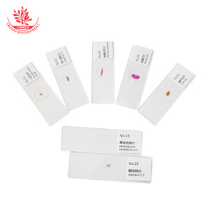 Biological specimen slides, 25 new animal combination kits, clear tissue <b>microscope</b> accessories, biological slides, specimens - Product Image 1
