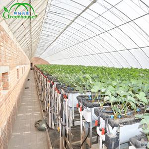 Le moins cher excellente <span class=keywords><strong>isolation</strong></span> serre solaire commerciale avec Double <span class=keywords><strong>isolation</strong></span> pour l'hiver/zone froide - Product Image 2